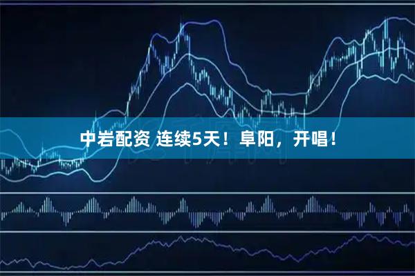 中岩配资 连续5天！阜阳，开唱！
