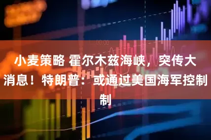 小麦策略 霍尔木兹海峡，突传大消息！特朗普：或通过美国海军控制